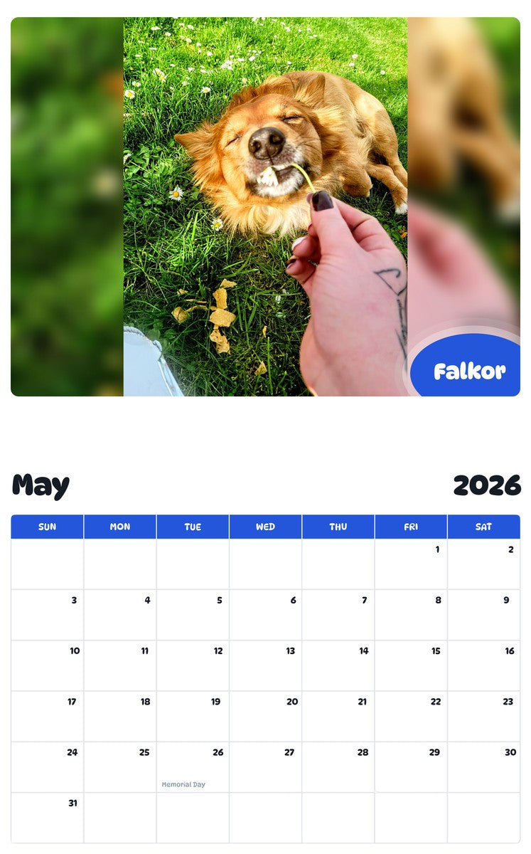 2026 - 2027 Falkor - Pawidols Pet Calendar