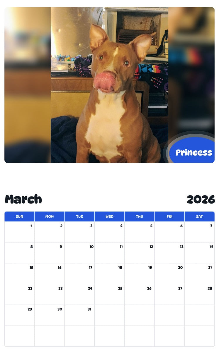 November 2025 - October 2026 Princess - Pawidols Pet Calendar