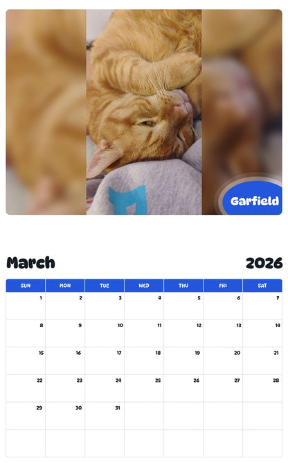 November 2025 - October 2026 Garfield - Pawidols Pet Calendar