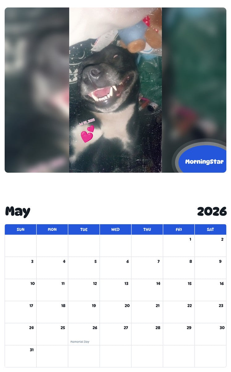 2026 - 2027 MorningStar - Pawidols Pet Calendar