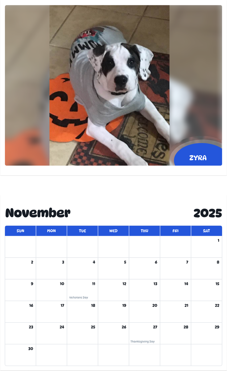 July 2025 - June 2026 Zyra - Pawidols Pet Calendar