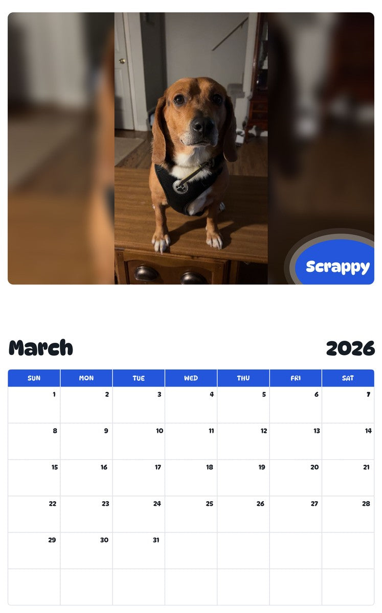 November 2025 - October 2026 Scrappy - Pawidols Pet Calendar