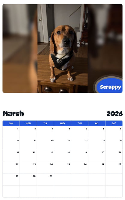November 2025 - October 2026 Scrappy - Pawidols Pet Calendar