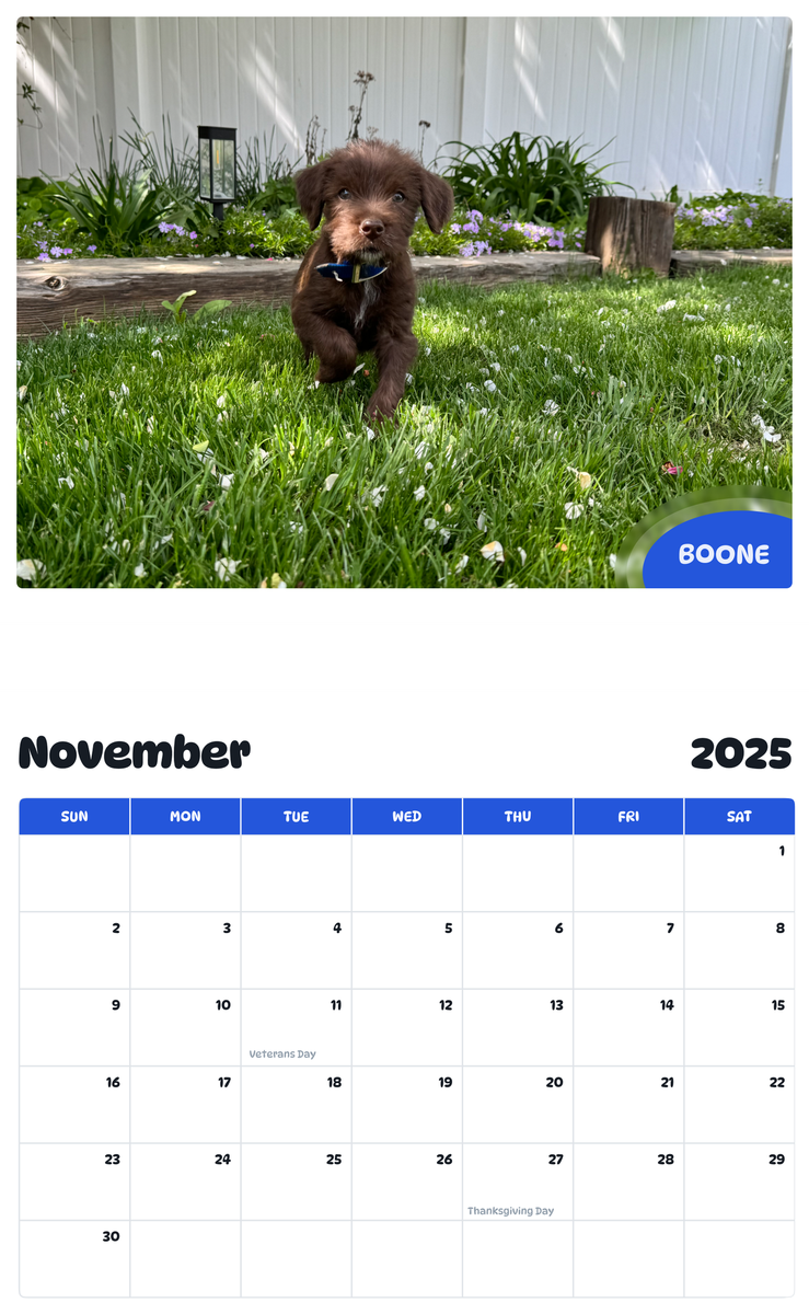 July 2025 - June 2026 Boone - Pawidols Pet Calendar