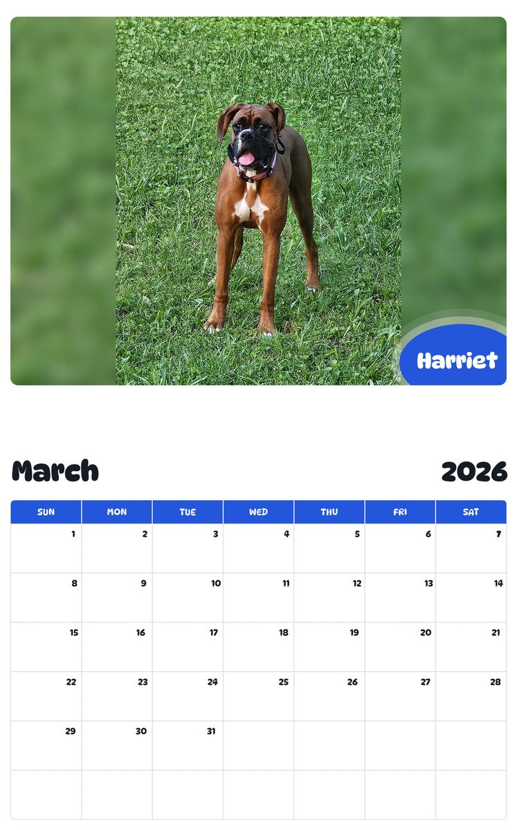 November 2025 - October 2026 Harriet - Pawidols Pet Calendar