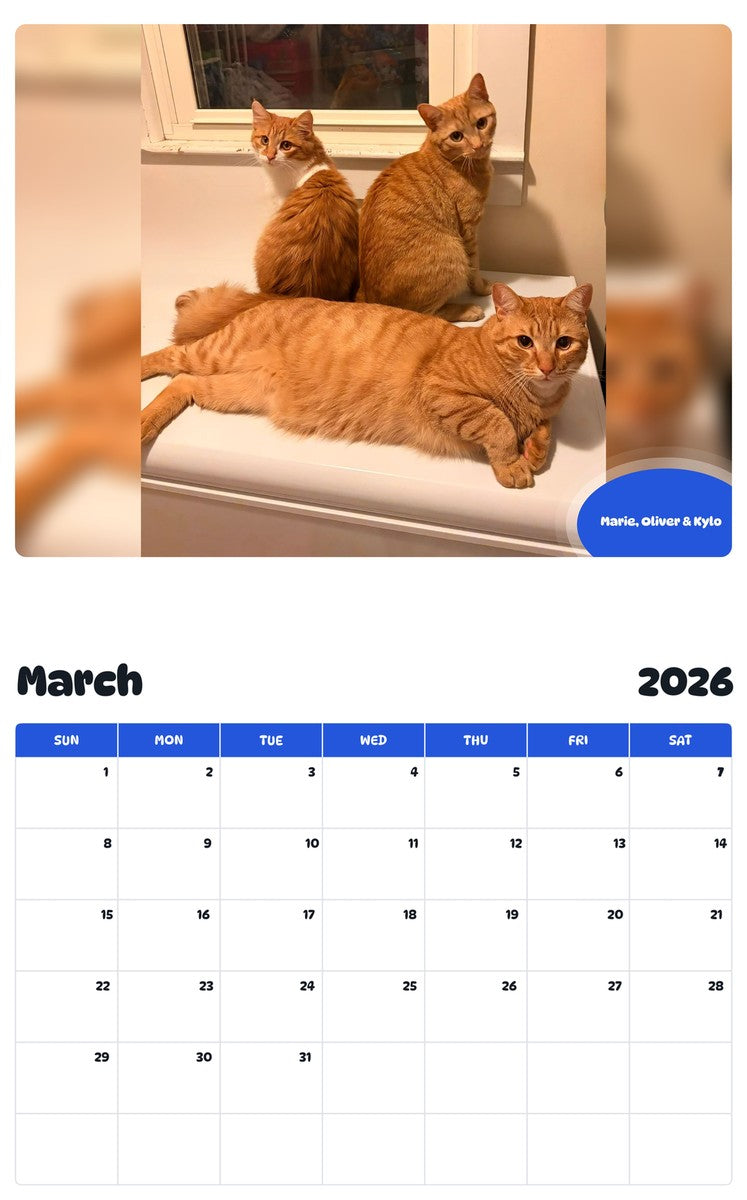 November 2025 - October 2026 Marie, Oliver & Kylo - Pawidols Pet Calendar