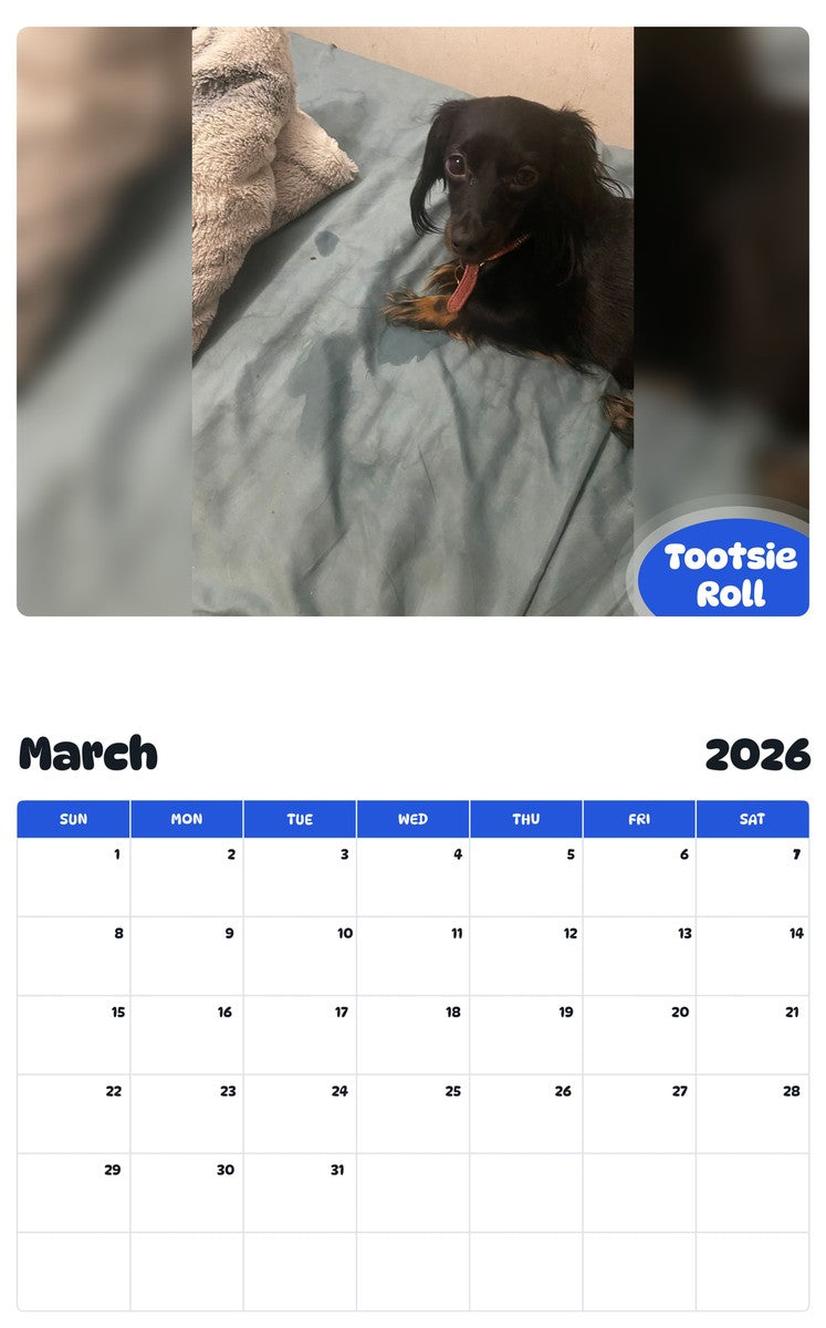 November 2025 - October 2026 Tootsie Roll - Pawidols Pet Calendar
