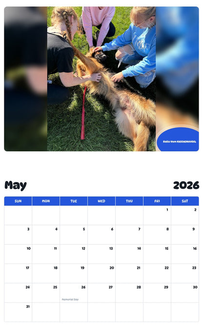 2026 - 2027 Ballo Vom KIECHENHUGEL - Pawidols Pet Calendar