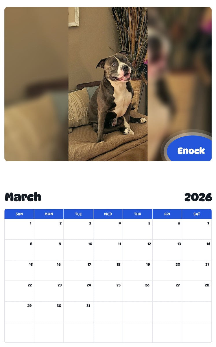 November 2025 - October 2026 Enock - Pawidols Pet Calendar