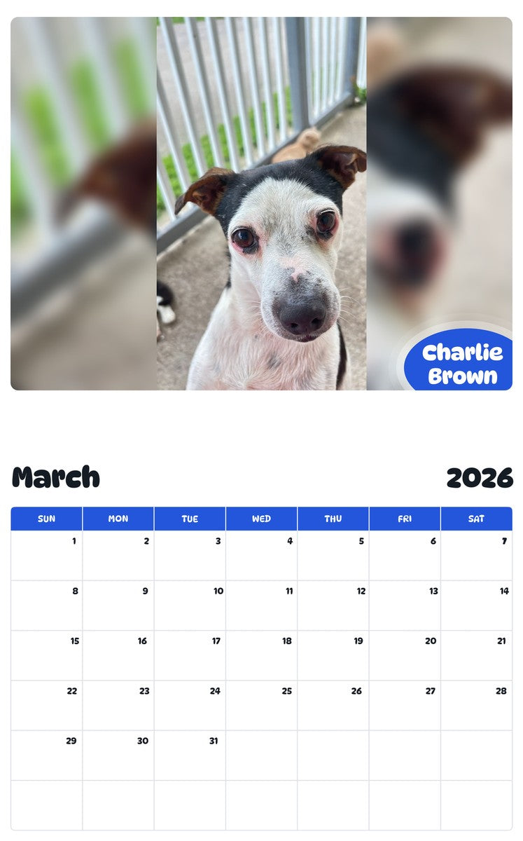 November 2025 - October 2026 Charlie Brown - Pawidols Pet Calendar