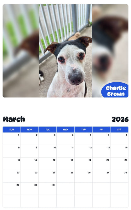 November 2025 - October 2026 Charlie Brown - Pawidols Pet Calendar