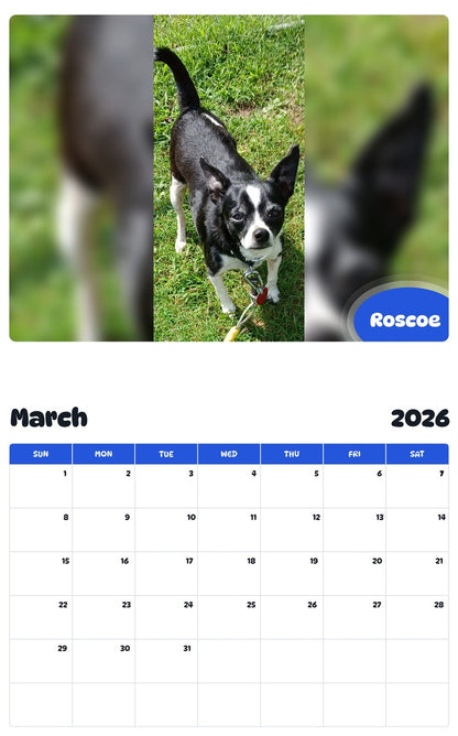 November 2025 - October 2026 Roscoe - Pawidols Pet Calendar