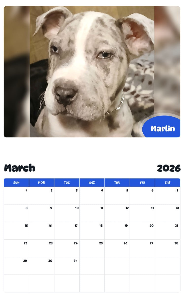 November 2025 - October 2026 Marlin - Pawidols Pet Calendar