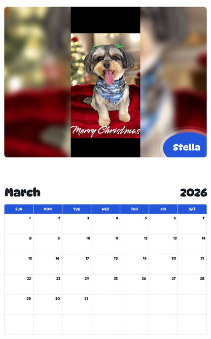 November 2025 - October 2026 Stella - Pawidols Pet Calendar