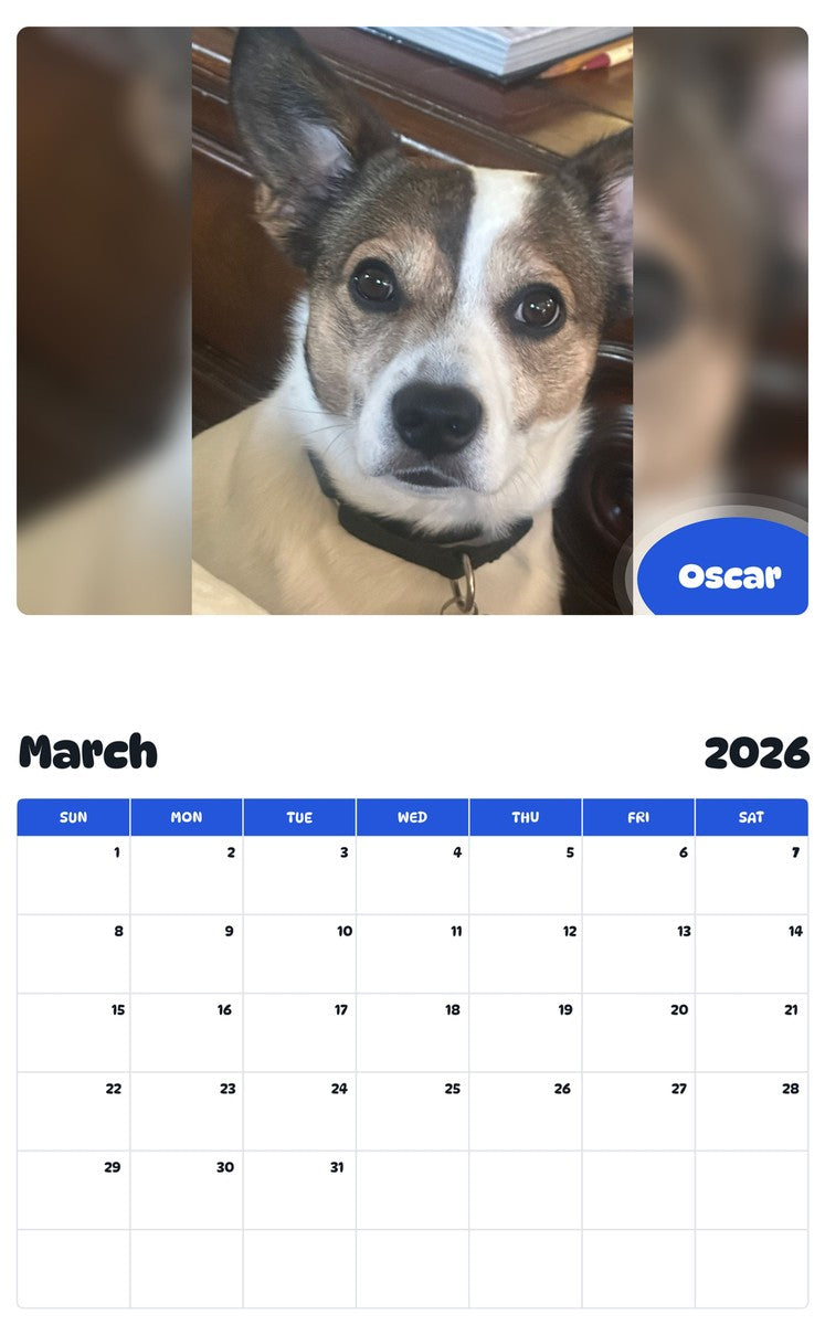 November 2025 - October 2026 Oscar - Pawidols Pet Calendar