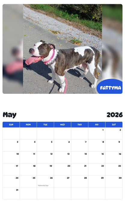 2026 - 2027 FATTYMA - Pawidols Pet Calendar