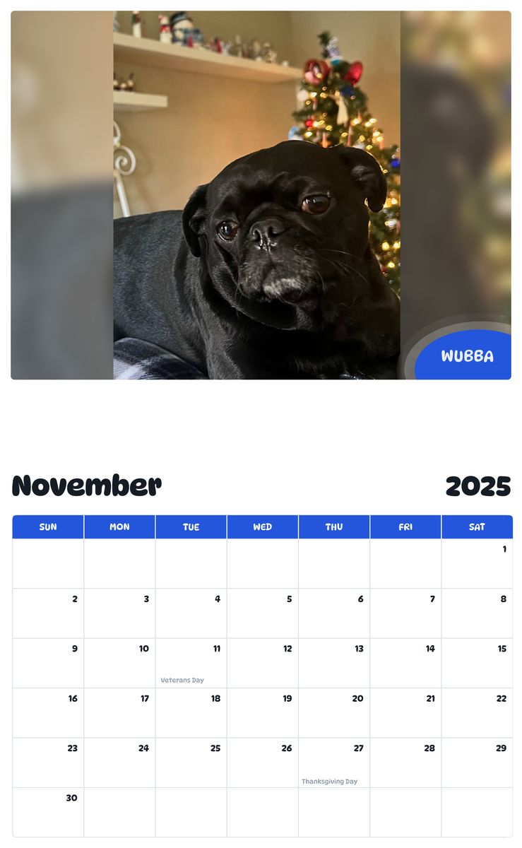 July 2025 - June 2026 Wubba - Pawidols Pet Calendar
