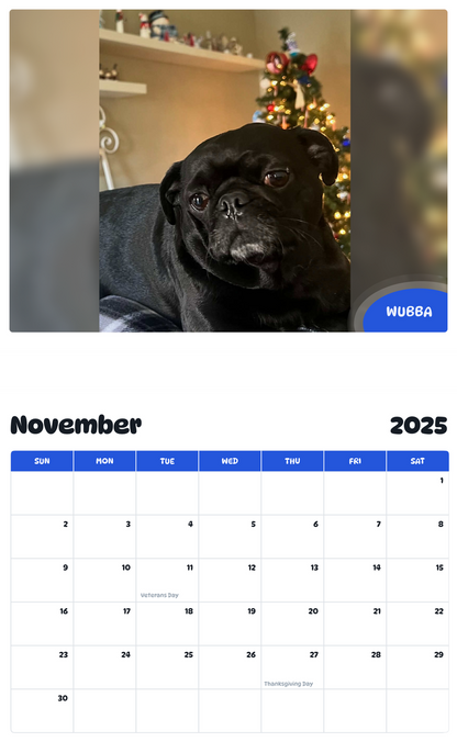 July 2025 - June 2026 Wubba - Pawidols Pet Calendar
