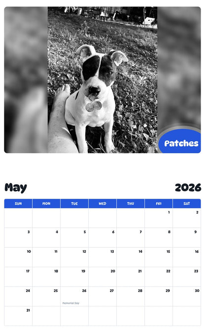 2026 - 2027 Patches - Pawidols Pet Calendar