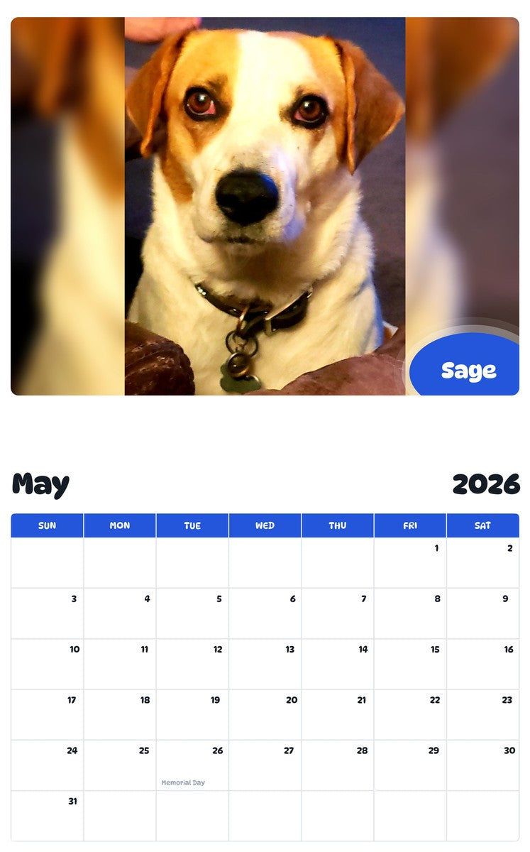2026 - 2027 Sage - Pawidols Pet Calendar