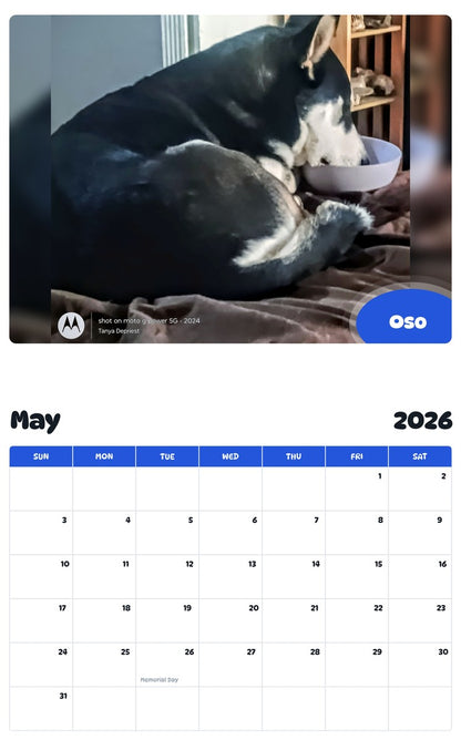 2026 - 2027 Oso - Pawidols Pet Calendar