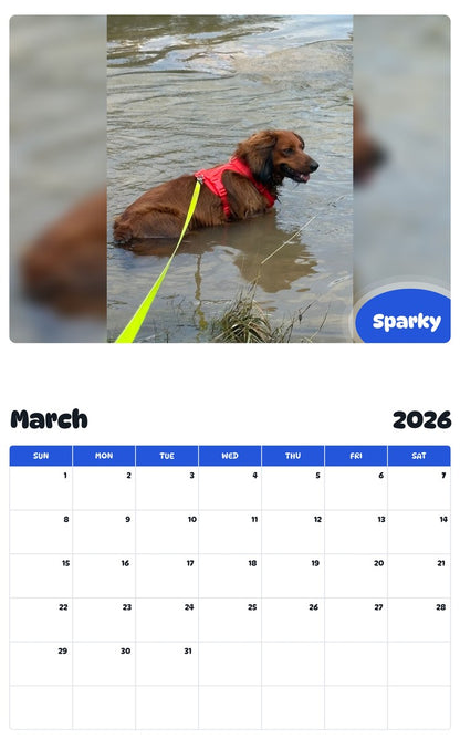 November 2025 - October 2026 Sparky - Pawidols Pet Calendar