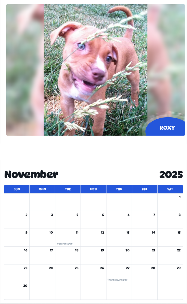 July 2025 - June 2026 Roxy - Pawidols Pet Calendar