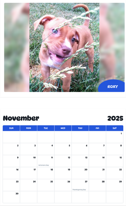 July 2025 - June 2026 Roxy - Pawidols Pet Calendar