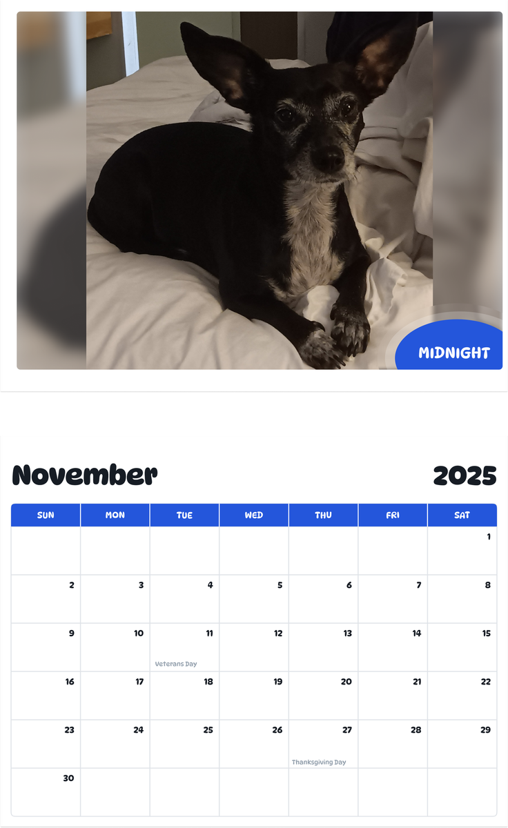 July 2025 - June 2026 Midnight - Pawidols Pet Calendar