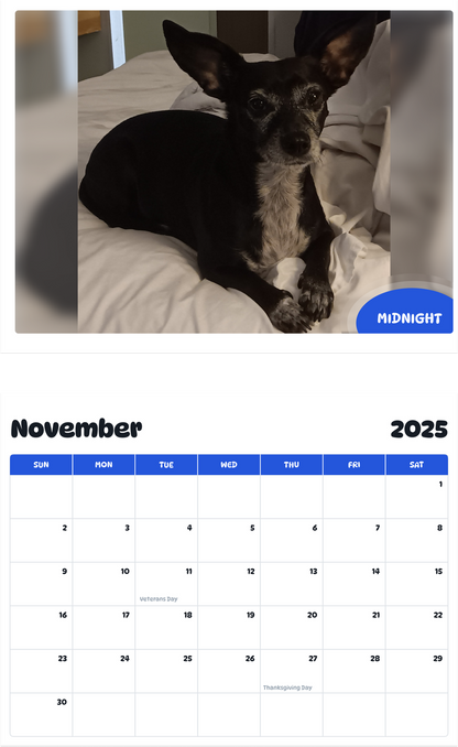 July 2025 - June 2026 Midnight - Pawidols Pet Calendar