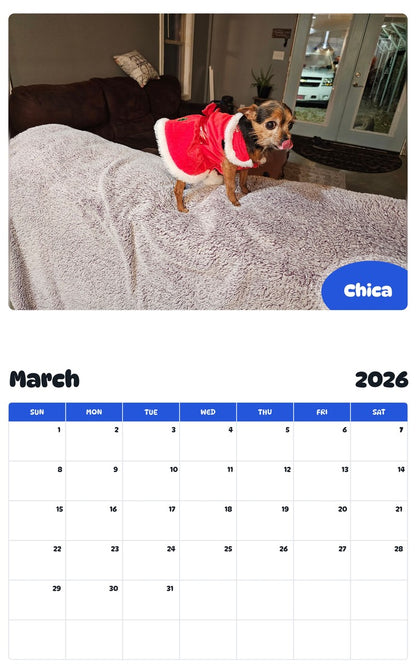 November 2025 - October 2026 Chica - Pawidols Pet Calendar