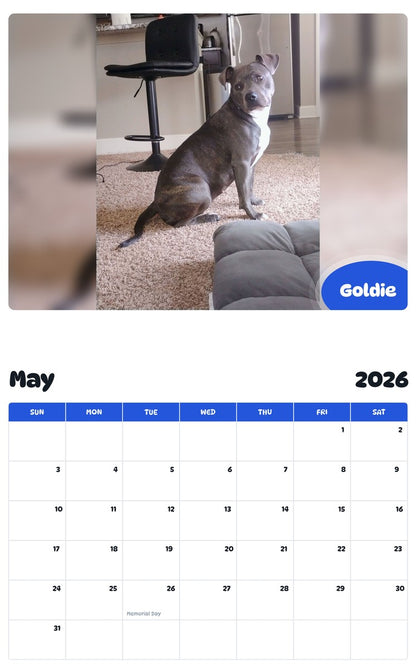 2026 - 2027 Goldie - Pawidols Pet Calendar