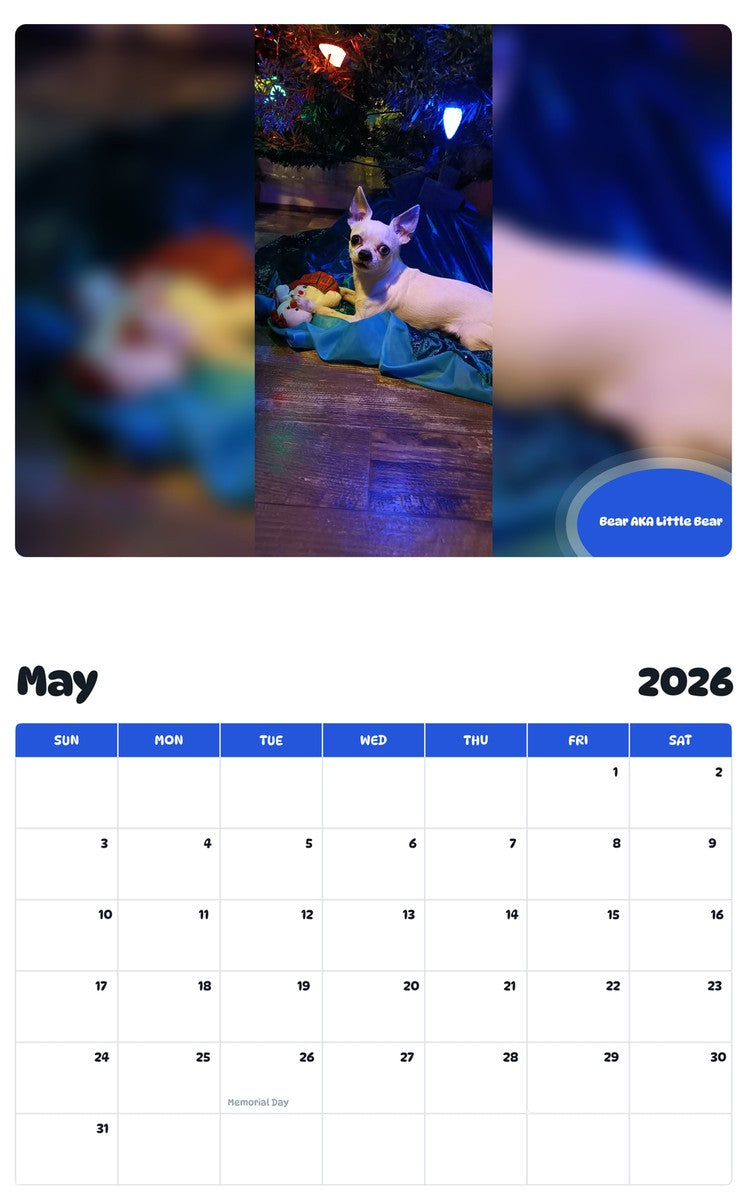 2026 - 2027 Bear AKA Little Bear - Pawidols Pet Calendar