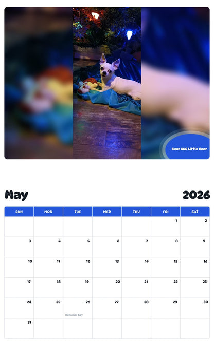 2026 - 2027 Bear AKA Little Bear - Pawidols Pet Calendar