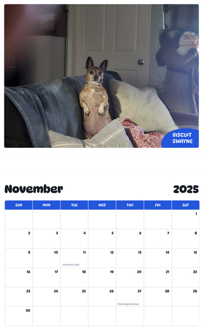 July 2025 - June 2026 Biscuit Swayne - Pawidols Pet Calendar