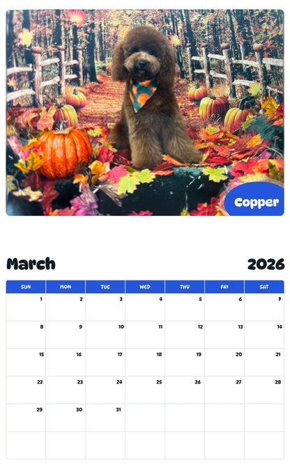 November 2025 - October 2026 Copper - Pawidols Pet Calendar