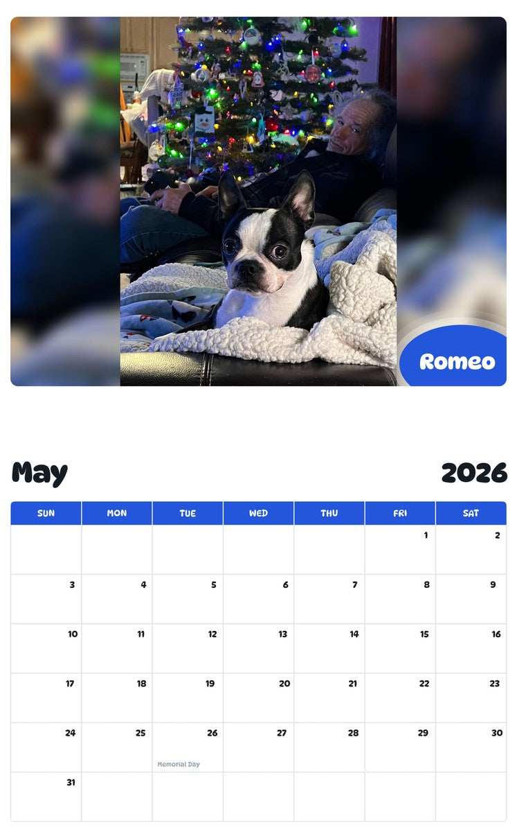 2026 - 2027 Romeo - Pawidols Pet Calendar