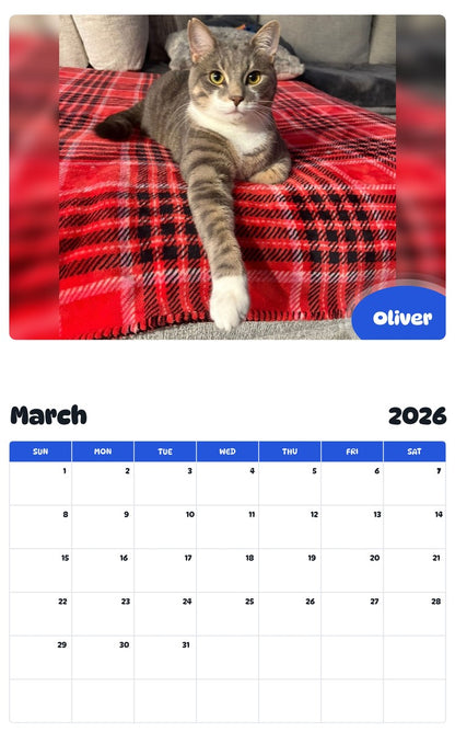 November 2025 - October 2026 Oliver - Pawidols Pet Calendar