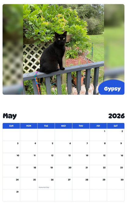2026 - 2027 Gypsy - Pawidols Pet Calendar