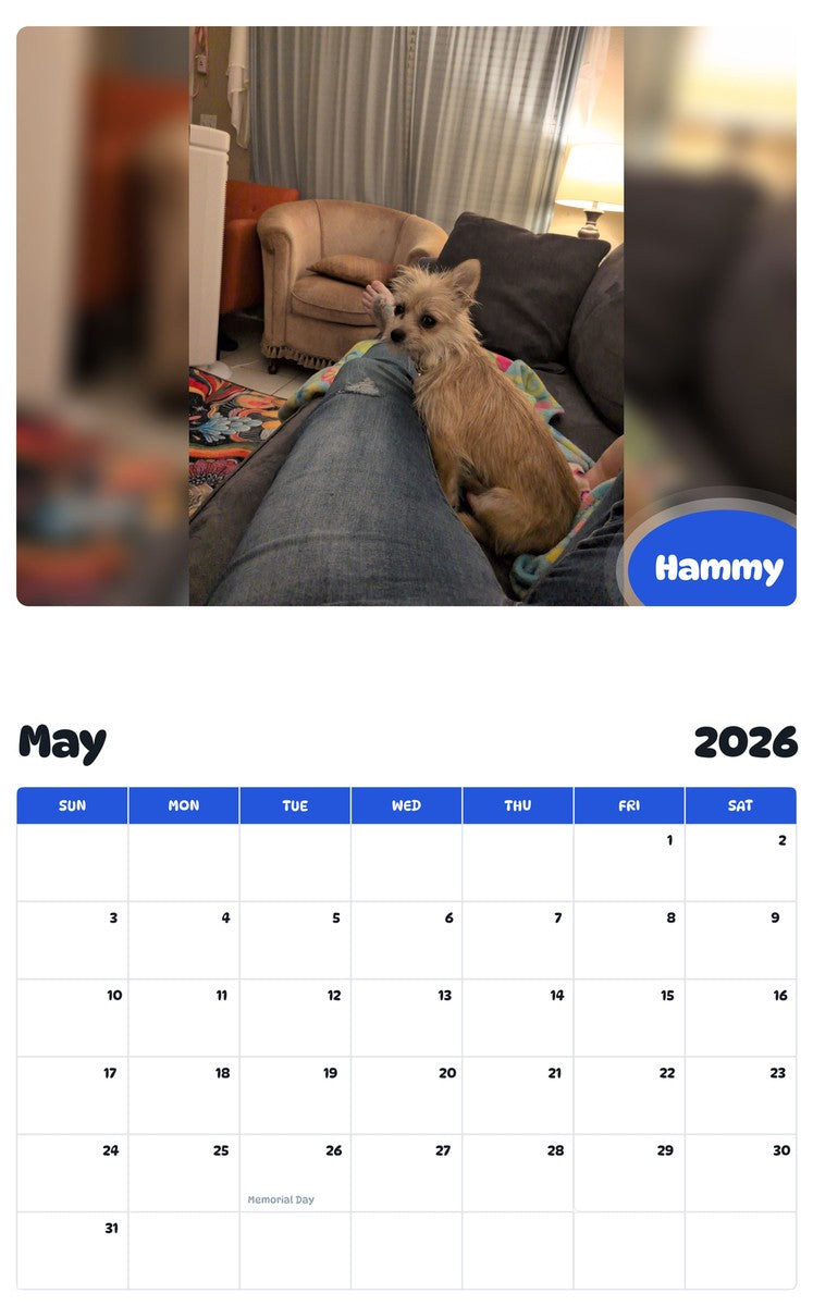 2026 - 2027 Hammy - Pawidols Pet Calendar