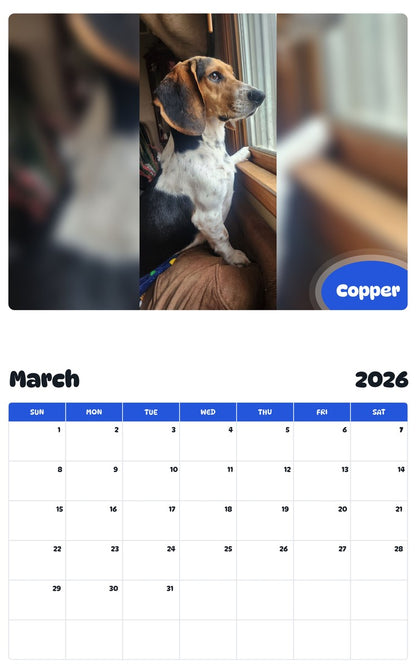 November 2025 - October 2026 Copper - Pawidols Pet Calendar