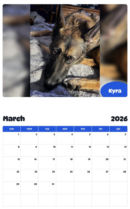 November 2025 - October 2026 Kyra - Pawidols Pet Calendar