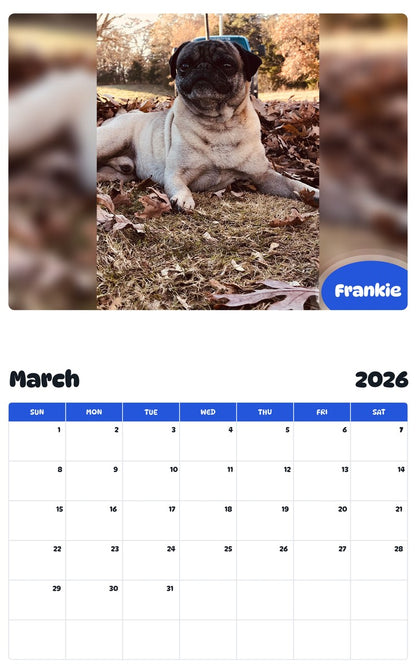 November 2025 - October 2026 Frankie - Pawidols Pet Calendar
