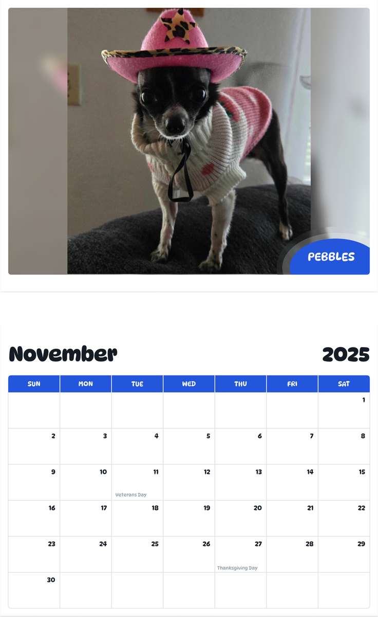 July 2025 - June 2026 Pebbles - Pawidols Pet Calendar