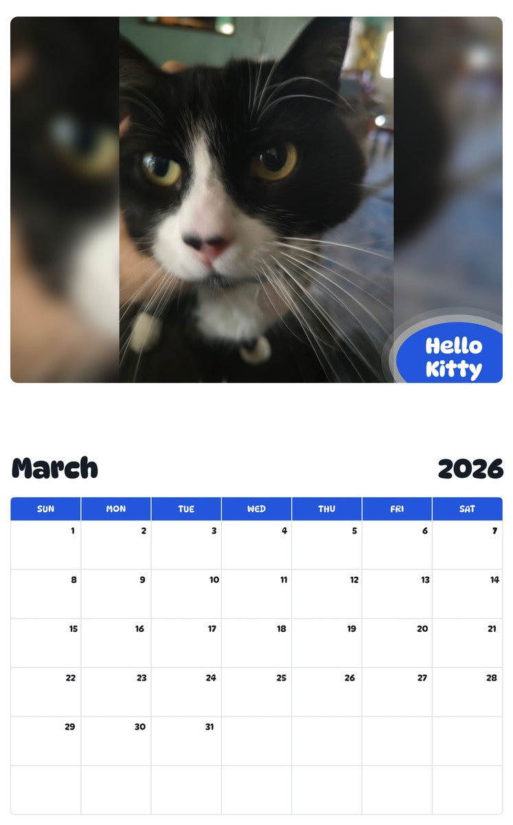 November 2025 - October 2026 Hello Kitty - Pawidols Pet Calendar