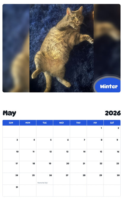2026 - 2027 Winter - Pawidols Pet Calendar