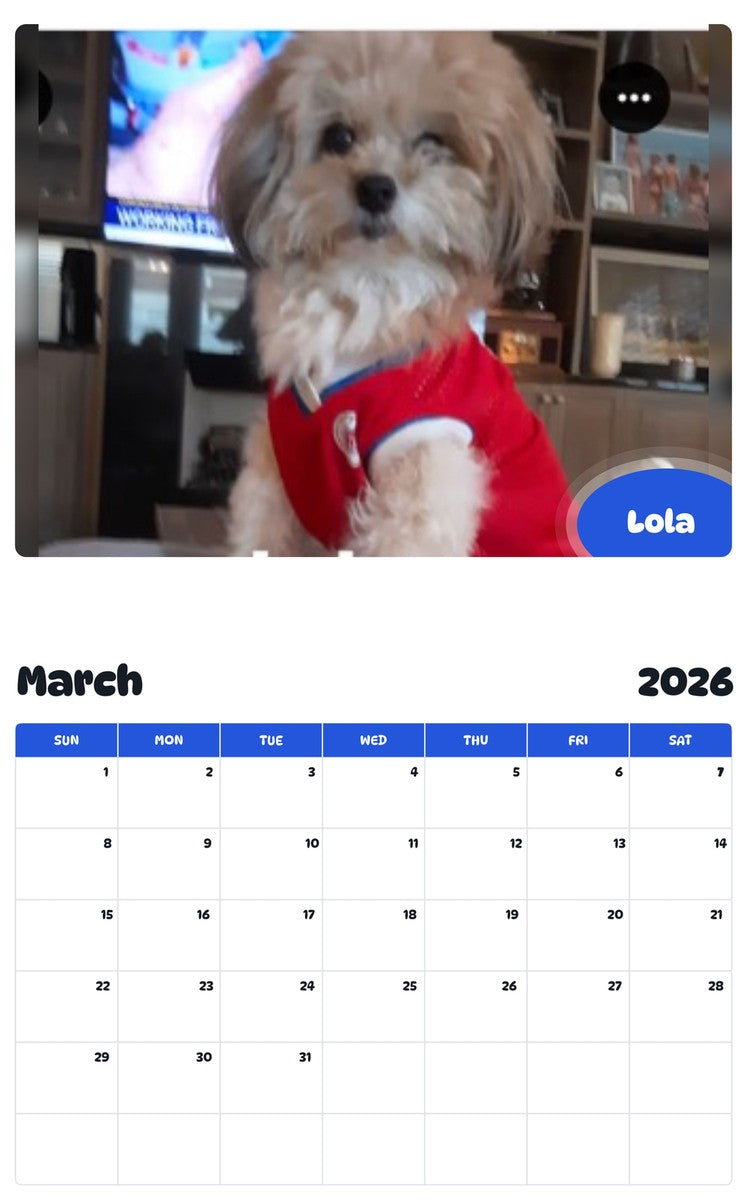 November 2025 - October 2026 Lola - Pawidols Pet Calendar