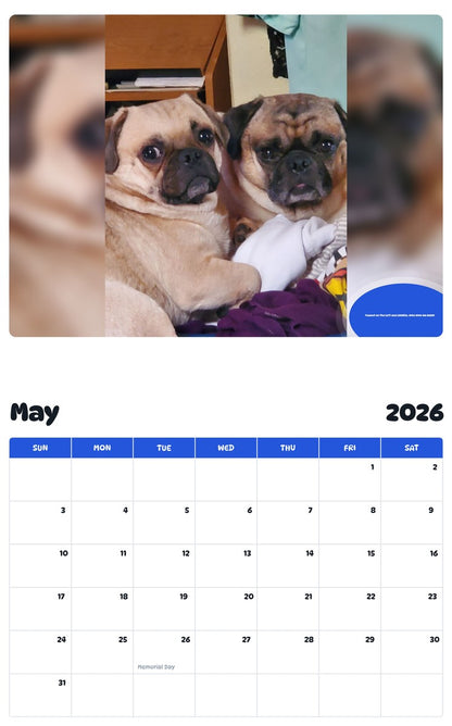 2026 - 2027 Peanut on The left and LilWillie. WOO WOO ON RIGHT - Pawidols Pet Calendar