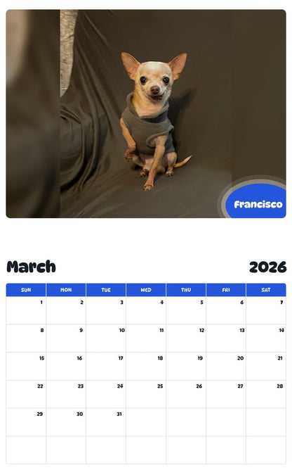 November 2025 - October 2026 Francisco - Pawidols Pet Calendar
