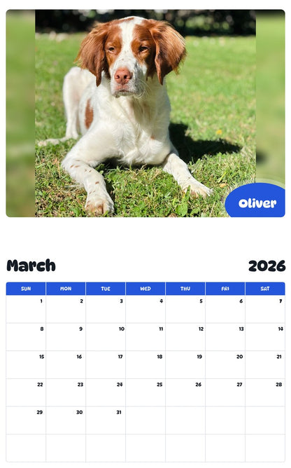 November 2025 - October 2026 Oliver - Pawidols Pet Calendar